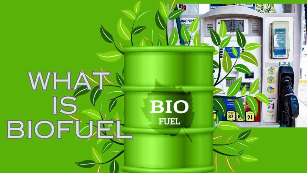 What is Biofuel?